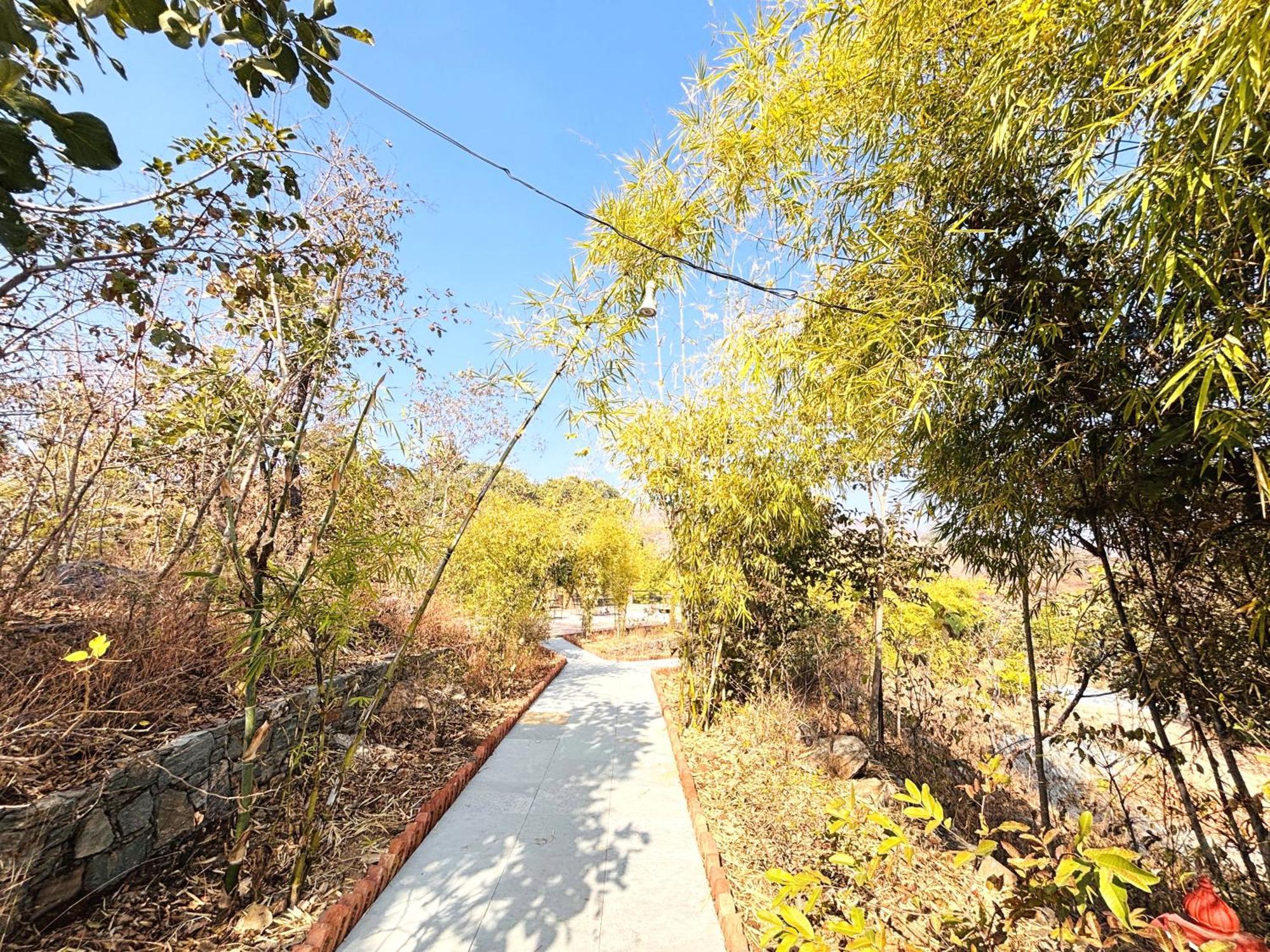 קומבלגרה The Sky Imperial Jungle Camp Resort מראה חיצוני תמונה